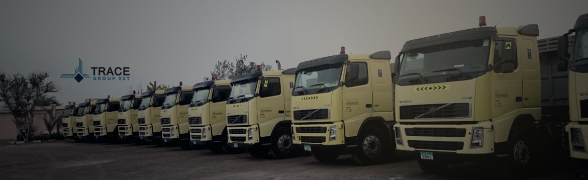 Transport insight